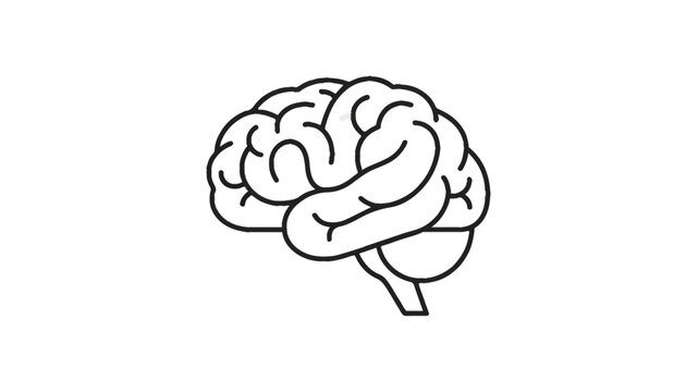 human brain vector illustration