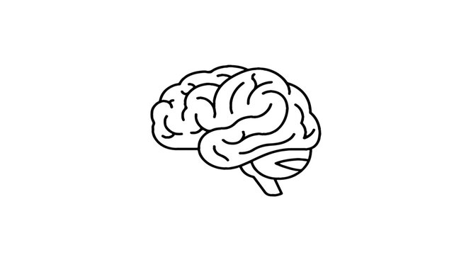 human brain vector illustration