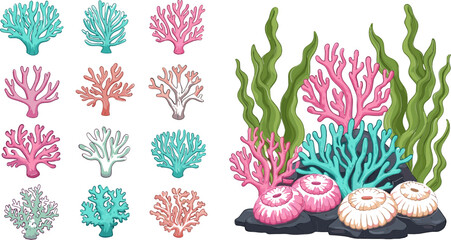 Colorful Coral Reef Set with Sea Plants, Anemones and Underwater Flora Elements for Ocean, Marine Life and Aquarium Illustration Design © Borsha