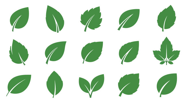 Collection of various green leaf icons representing nature and growth