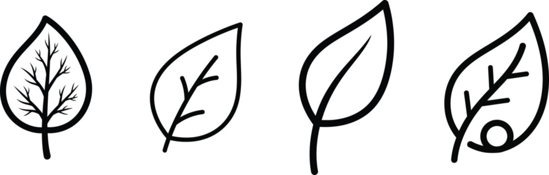 Diagram of pollen grains four stages of development and structure