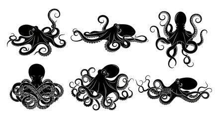Black octopus silhouettes, vector octopus icons, cephalopod illustrations, squid graphics © imran