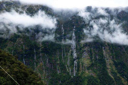 View of cascading waterfalls flow down lush green cliffs shrouded in mist, creating a serene yet powerful landscape, Milford Sound, Southland Region, New Zealand.
