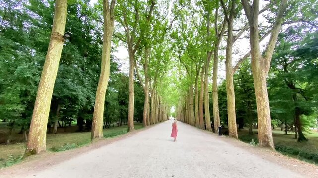  Woman in Pink Dress Walking Away Down a Majestic Tree-Lined Avenue