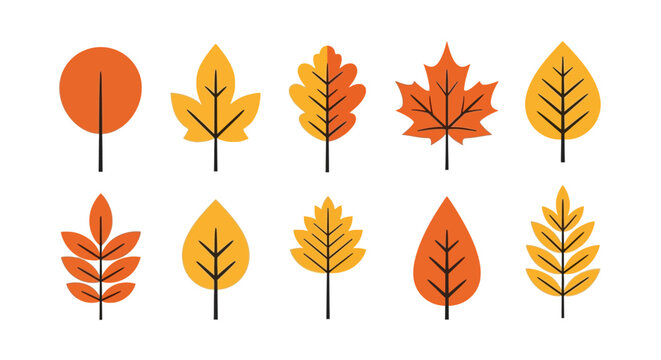 Autumn leaves, fall icons, orange yellow leaf shapes, vector graphics