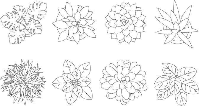 Set of different house plants top view. architectural top view tree and plant CAD block cet. 