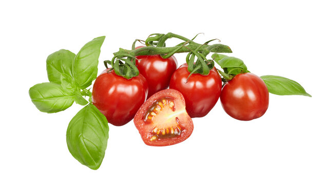 tomato and basil isolated on white or transparent png