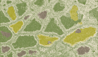 Abstract green halftone texture resembling aerial top view of agricultural fields. Risograph green organic texture. Organic patchwork farmland pattern with dotted grain and vintage print effect. © TaMih