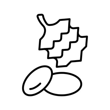 Pine nut icon. Food and nuts line symbol. Black and white.