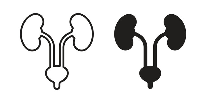 Urology icon and symbol. Vector icon editable set