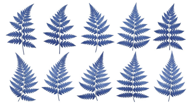 Vector illustration of set of blue fern leaves on a transparent background