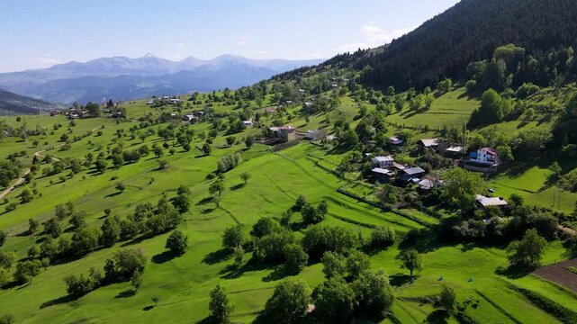 Footage of mountain villages and plateaus located among trees in pine forests.
