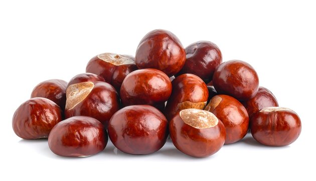 A pile of shiny, brown conkers against a bright white background. Close-up photo displaying their smooth surfaces