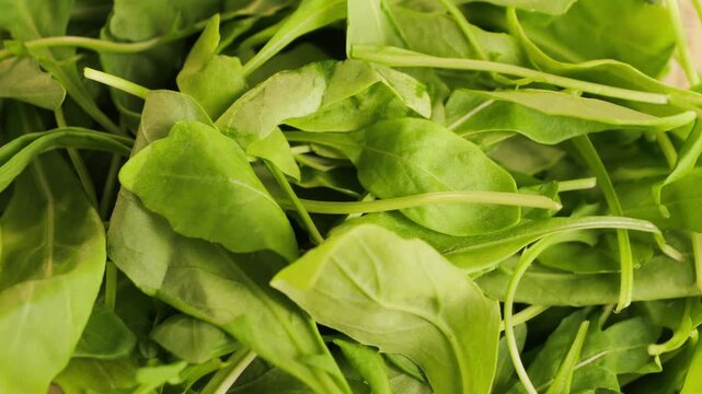 A close-up of juicy, fresh, green arugula leaves. Healthy greens.