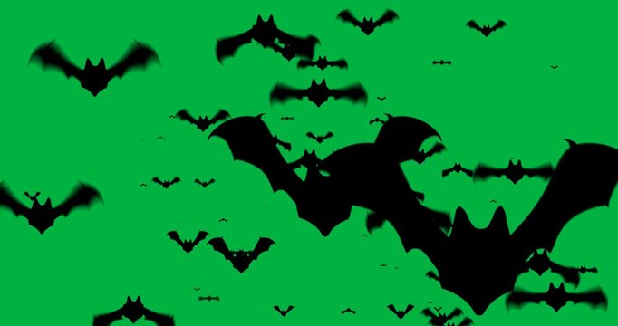 Animation of black bats flying isolated on white background