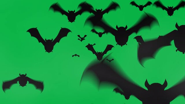 Animation of bats flying on white background