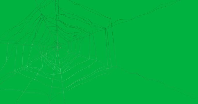 Animation of halloween spiders web on white background
