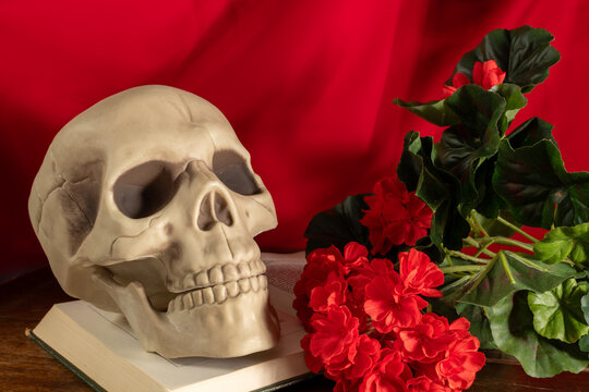 Nature morte dramatique avec cr&acirc;ne et fleurs rouges