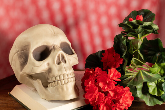 Nature morte dramatique avec cr&acirc;ne et fleurs rouges