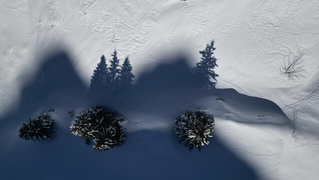 Aerial view of snow-laden trees casting long, dramatic shadows across the pristine white landscape, a stark contrast highlighting the winter's embrace, Samoens, Auvergne-Rhone-Alpes, France.