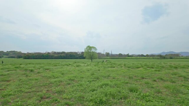 Vast green grasslands and natural scenery