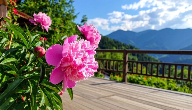 Pink peonies bloom with mountain view