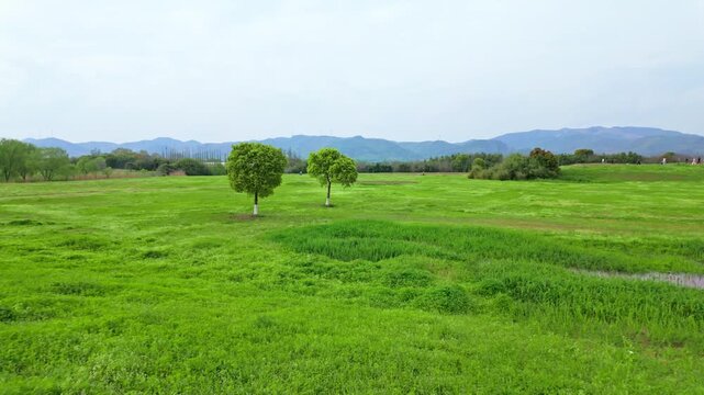 Green grassland distant view lens