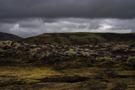 View of moss-covered lava fields stretch under a heavy, brooding sky, the muted greens and greys painting a stark, otherworldly landscape, Skaftarhreppur, Iceland.