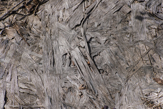 Aged Oriented Strand Board Surface Showing Detailed Rough Wooden Texture