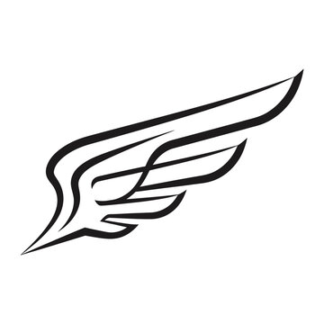 Elegant black line art sketch of a single wing