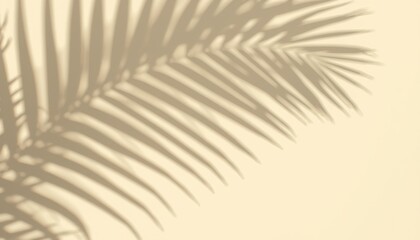 Shadow of palm leaf against a plain background with a subtle shadow cast by a palm leaf on a textured beige surface organic shape shadow pattern © Fatima