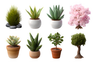 Fototapeta premium Various potted plants and trees in different pots on a Transparent background PNG for decoration