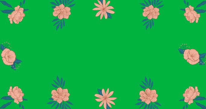 Loop starting, decorative floral frame remaining static on transparent canvas to frame content