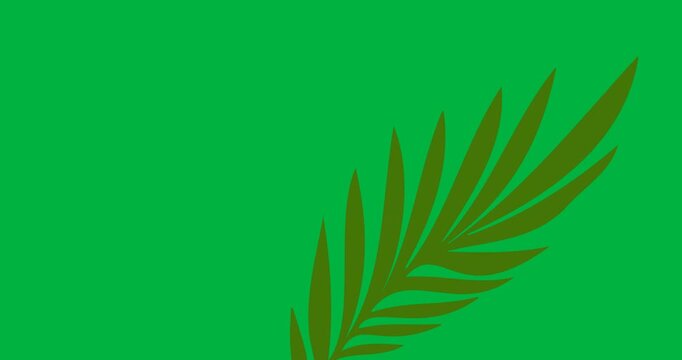Digital animation of branch with green leaves icon against black background