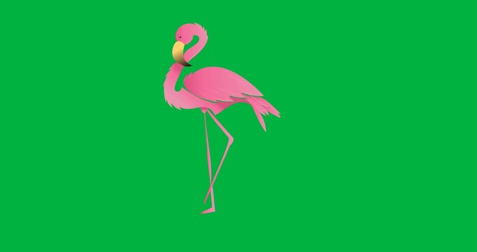 Digital animation of flamingo icon moving against black background