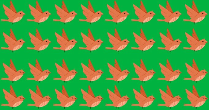 Digital animation of multiple orange bird icons in seamless pattern against black background
