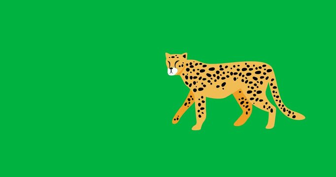 Digital animation of cheetah icon against black background
