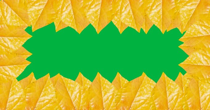 Digital animation of multiple yellow autumn leaves forming a frame against black background