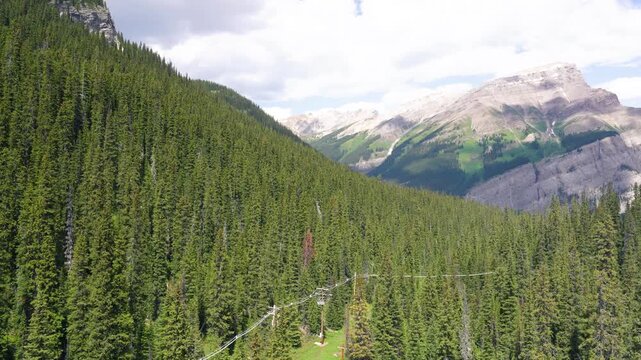 Summer landscape of Banff National Park showing mountains, forests, and pristine nature
