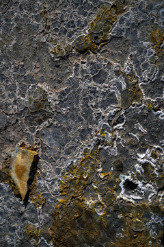 View of a rugged, textured rock face with contrasting grey and gold hues, displaying intricate patterns and mineral deposits, Hrunamannahreppur, Iceland.