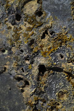 View of a textured surface revealing a tapestry of greys and ochre, etched with organic patterns, in a close-up that captures the essence of time and nature, Hrunamannahreppur, Iceland.