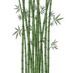 Naklejka premium Vibrant Green Bamboo Stalks Isolated on White Background for Design Elements