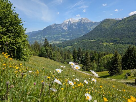 Fr&uuml;hling im Berchtesgadener Land