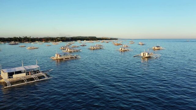 Aerial view of numerous traditional outrigger boats floating on calm blue waters near Panglao, Philippines, under clear sky. Tranquil coastal scene ideal for travel and tourism concepts.