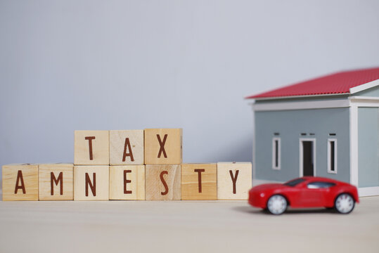 Tax amnesty writing and miniature cars and houses.