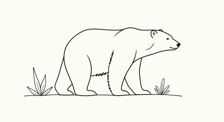 Minimalist polar bear illustration, simple line drawing, arctic wildlife, white background © dira