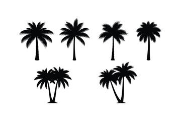 Fototapeta premium Silhouette collection of tropical palm trees in various shapes and sizes