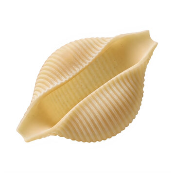 A single conchiglie pasta shell isolated on transparent background
