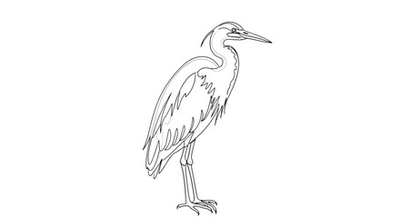Fototapeta premium Great Blue Heron Standing Minimalist Line Art Vector Illustration