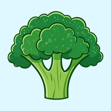 Fresh green broccoli head for healthy vegetable diet and organic nutrition in various culinary recipes and cooking - Vector Illustration